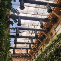  at Mazel Tov in Budapest