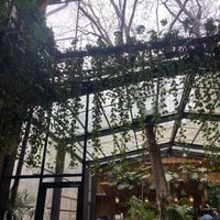   at Mazel Tov in Budapest