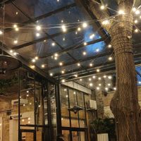 Décoration Végétale , Ruines at Mazel Tov in Budapest