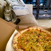 Taken away vegan pizza with a bunch of melted cheese at New York Slice in Paphos