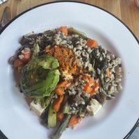 Main plate  at Shy Bird in Cambridge