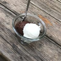 Coconut and chocolate sorbet 😻 at Eisbüttel in Hamburg