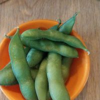  at Buja Vegetarien in Paris