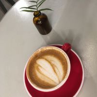 Cappuccino really tasty at Buna in Lisbon