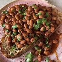   at Albatross Café in Bristol