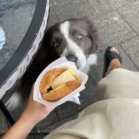   at Satama-Sanni in Lappeenranta