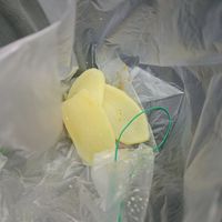 Look at the colour! It's literally RAW POTATOES! at Pine Tree Cafe 长春树 - Fortune Centre in Central Singapore