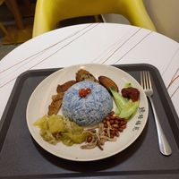 Nasi lemak at Pine Tree Cafe 长春树 - Fortune Centre in Central Singapore