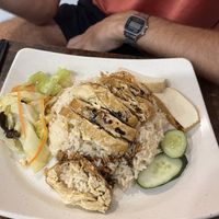 Chicken rice   at Pine Tree Cafe 长春树 - Fortune Centre in Central Singapore