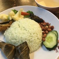 delicious nasi lemak! the non spicy version. usually served on Wed and Fri  at Pine Tree Cafe 长春树 - Fortune Centre in Central Singapore