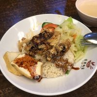 chicken rice  at Pine Tree Cafe 长春树 - Fortune Centre in Central Singapore