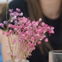 Flowers at Bepa in Split