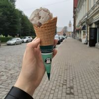 Vegan hazelnut ice cream at 33 Pingvina in Vyborg