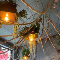A taste of jungle   at Caphe HOA 2 in Berlin