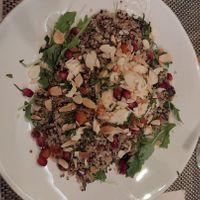  at Local - Alvalade in Lisbon