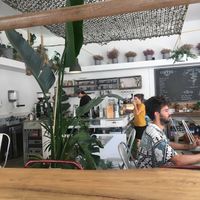 Inside at The Royal Rawness in Lisbon