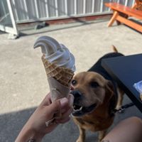 Vanilla Soft Serve  at The Hwy Cafe in Pemberton