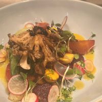 Hen of the woods! at Oliveira Kitchen in East London