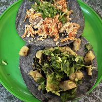 Tacos with Raja’s con Papa and Zanahoria con Tofu 🥕🥔 very yummy and only 15$ per Taco at Gopals - Vegetariano's in Cancun