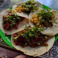 2 rajas con elotes and 2 chorizo con nopales tacos at Gopals - Vegetariano's in Cancun