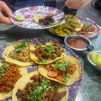 We got all 11 vegan tacos  at Gopals - Vegetariano's in Cancun