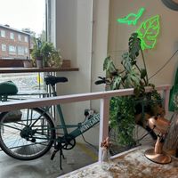   at How On Earth in Exeter