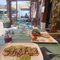 Vegan raviolis and vegan burger at Brio in Tarifa