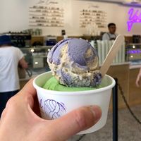 Ube latte and Pandan  at Yelo'd Ice Cream & Bake Shoppe in Edmonton