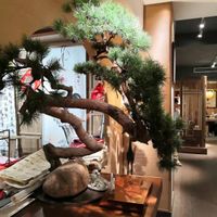  at RúShì Shū 如是蔬 in Sanya