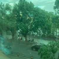 View from the second floor, the buffet restaurant. at RúShì Shū 如是蔬 in Sanya