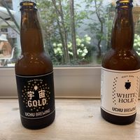 Japanese craft beer  at Why＿? in Tokyo