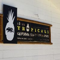 Tropicali 😍 at Tropicali in Big Bear Lake