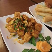  at The Orchid Vegan Restaurant in York