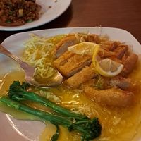  at The Orchid Vegan Restaurant in York