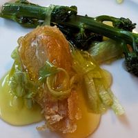  at The Orchid Vegan Restaurant in York