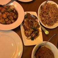  at The Orchid Vegan Restaurant in York