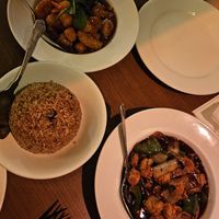 House special in Szechuan sauce & chickn in black bean at The Orchid Vegan Restaurant in York