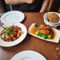  at The Orchid Vegan Restaurant in York