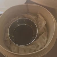 Dumplings at The Orchid Vegan Restaurant in York