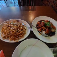 Fried noodles with Vegan House at The Orchid Vegan Restaurant in York