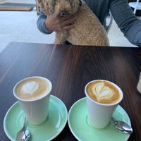 Oatly Latte  at Nourish in Kangaroo Point