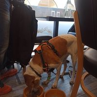  at Le Jardin de Suzan in Cahors