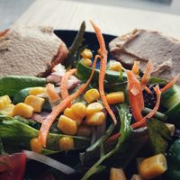  at Aquarium Cafe in Heligoland