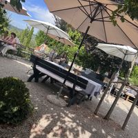   at Heuriger Steinschaden in Langenlois