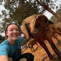   at Pete's Mission Animal Rescue Shelter in Pai