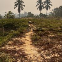   at Pete's Mission Animal Rescue Shelter in Pai