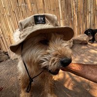   at Pete's Mission Animal Rescue Shelter in Pai