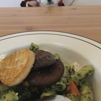 Pet-friendly cafe! My foster dog loved the calm space (and the delicious smells of fusion food)  at LoveUrth 러브얼스 in Busan