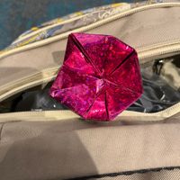 Some complementary origami with our meal  at La Chia Vegana  in Lake Worth