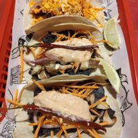 Tacos at Lucha Libre in Mannheim